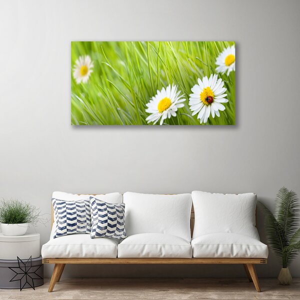 Obraz na plátne Tráva sedmokrásky príroda 100x50 cm