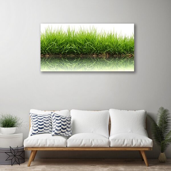 Obraz na plátne Tráva príroda rastlina 100x50 cm