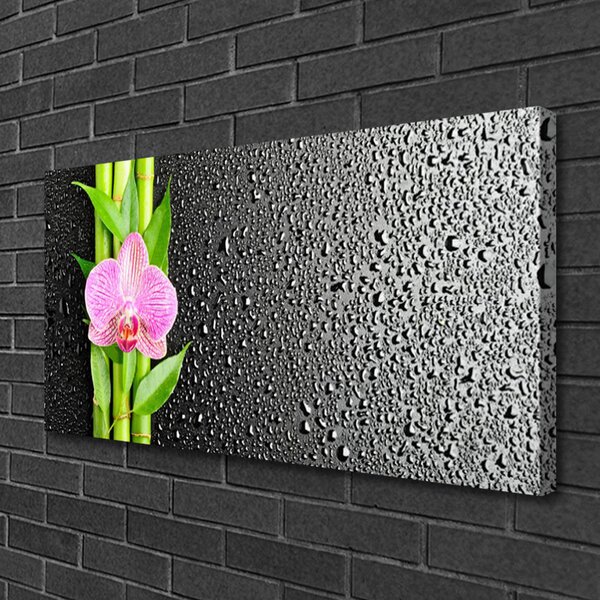Obraz na plátne Bambus stonky kvet rastlina 100x50 cm