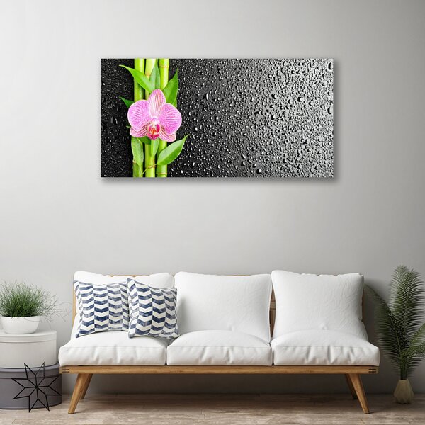Obraz na plátne Bambus stonky kvet rastlina 100x50 cm