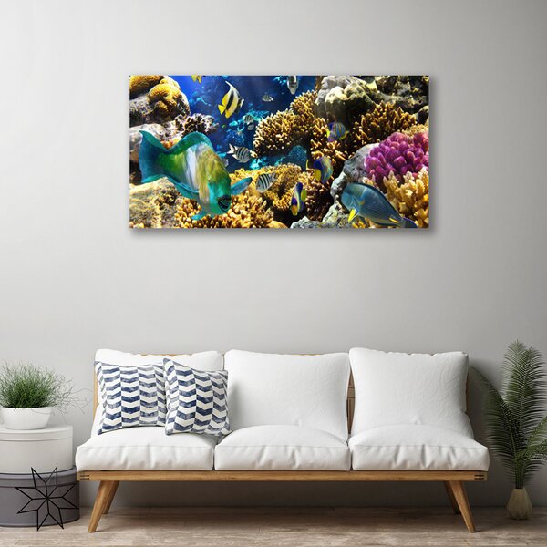 Obraz na plátne Koralový útes príroda 100x50 cm