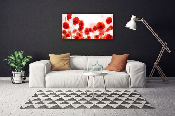 Obraz na plátne Maky rastlina príroda 100x50 cm