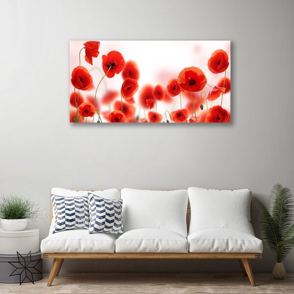 Obraz na plátne Maky rastlina príroda 100x50 cm
