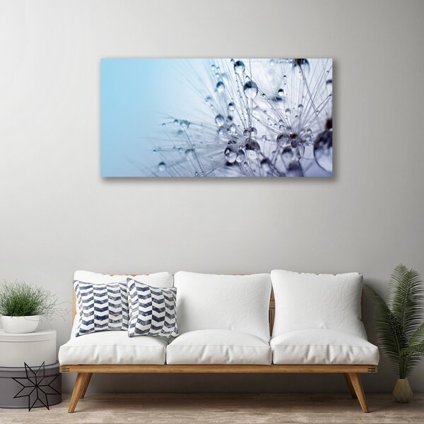Obraz na plátne Púpava rastlina 100x50 cm