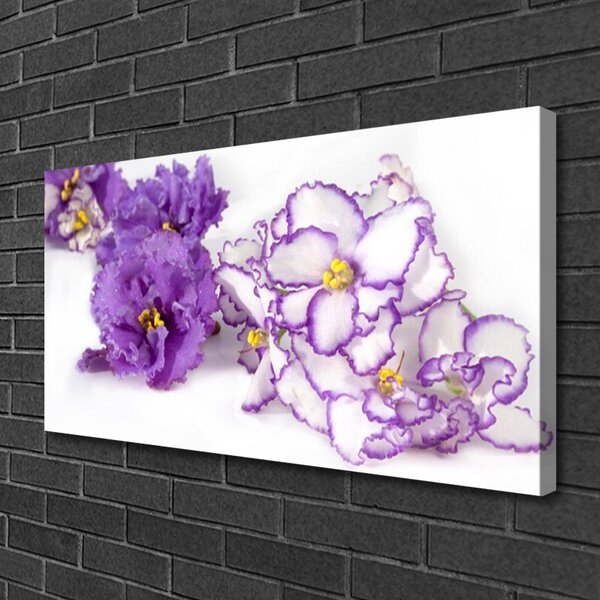 Obraz na plátne Kvet rastlina príroda 100x50 cm