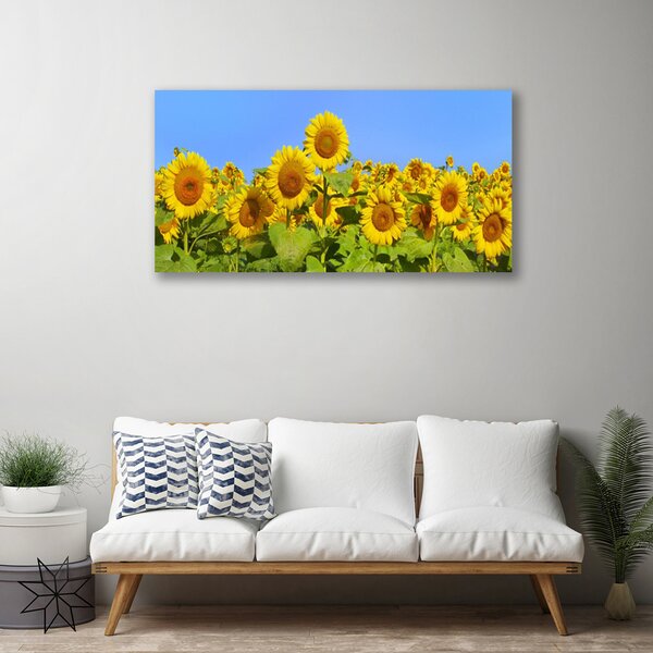 Obraz na plátne Slnečnica kvet rastlina 100x50 cm