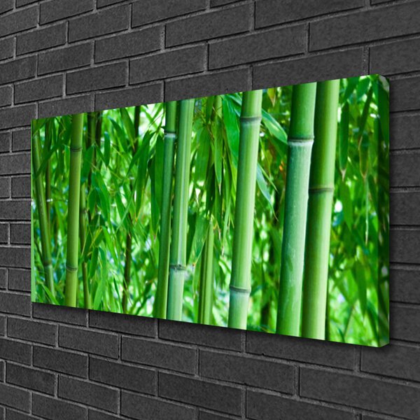 Obraz na plátne Bambus stonka rastlina 100x50 cm