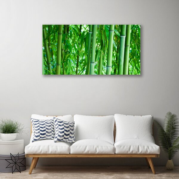 Obraz na plátne Bambus stonka rastlina 100x50 cm