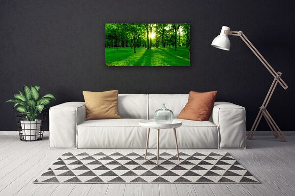 Obraz na plátne Les príroda 100x50 cm