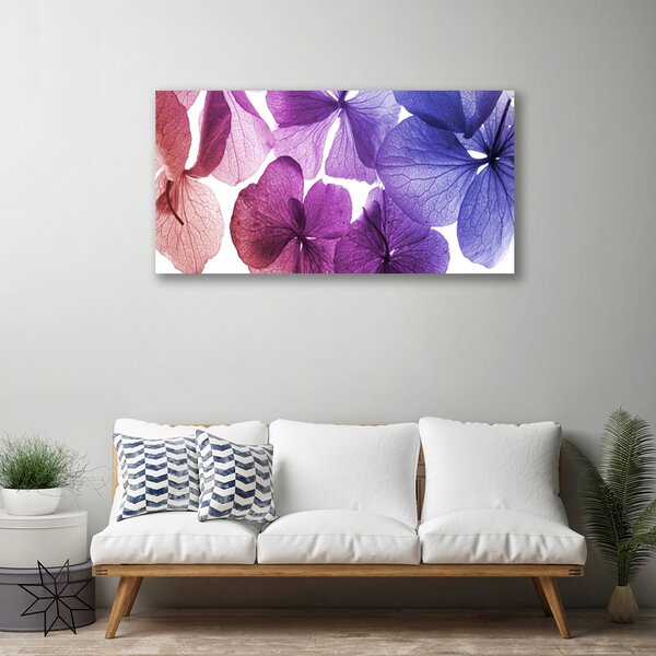 Obraz na plátne Kvety rastlina príroda 100x50 cm