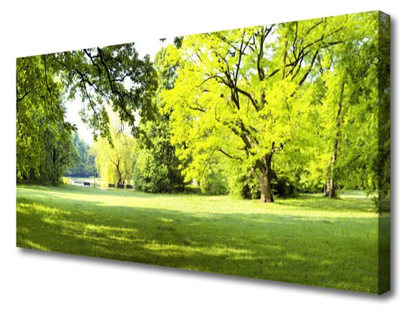Obraz Canvas Tráva stromy park príroda 125x50 cm