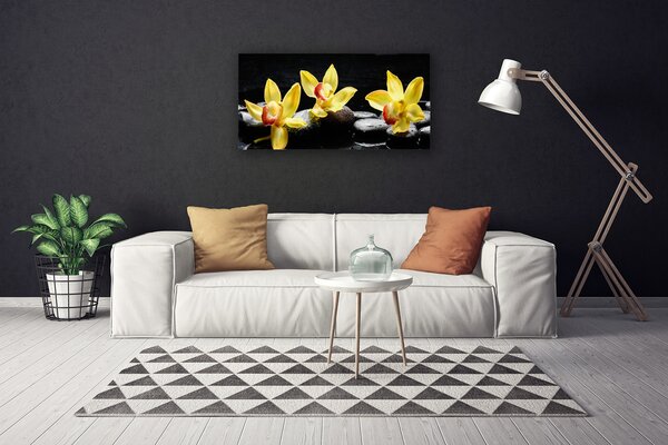 Obraz Canvas Kvet kamene rastlina 100x50 cm