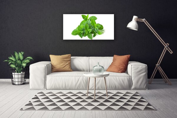 Obraz Canvas Mäta rastlina príroda 100x50 cm