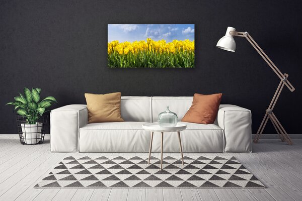 Obraz Canvas Tulipány kvety rastlina 100x50 cm