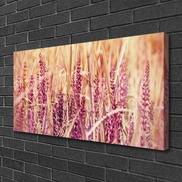 Obraz Canvas Pšenica rastlina príroda 100x50 cm
