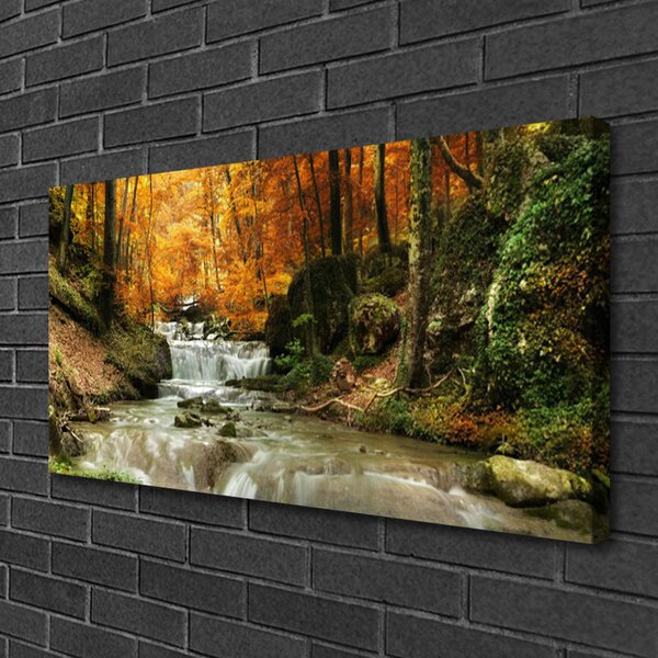 Obraz Canvas Vodopád les príroda 100x50 cm