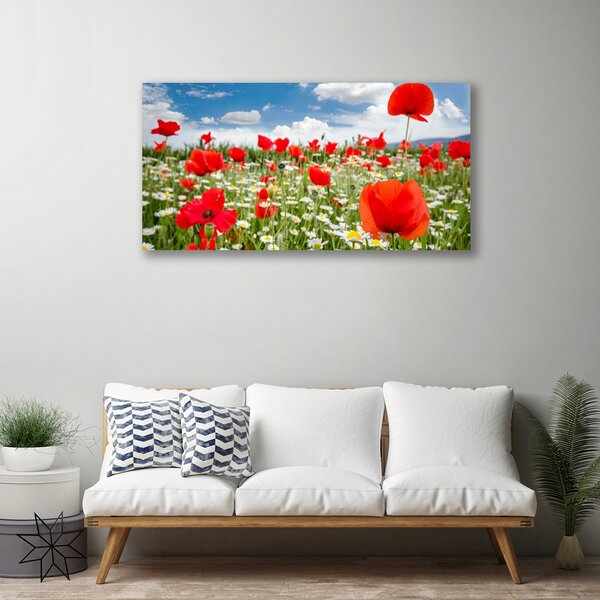 Obraz Canvas Lúka kvety príroda 100x50 cm