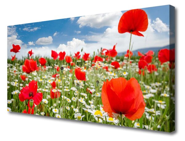 Obraz Canvas Lúka kvety príroda 125x50 cm