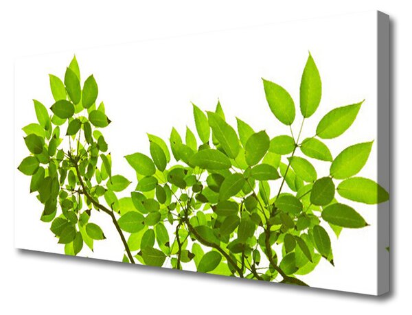 Obraz Canvas Vetva listy rastlina príroda 100x50 cm