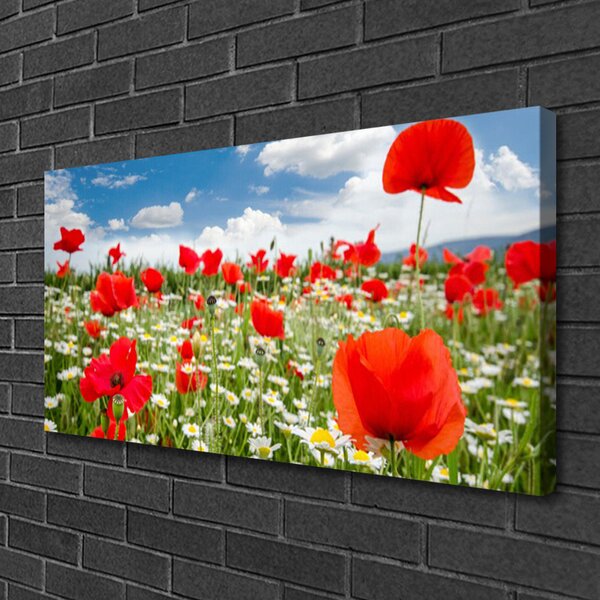 Obraz Canvas Lúka kvety príroda 100x50 cm