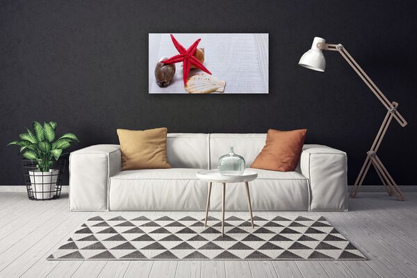 Obraz Canvas Hviezdice mušle umenie 100x50 cm