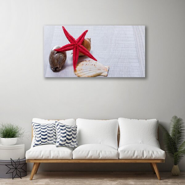Obraz Canvas Hviezdice mušle umenie 100x50 cm