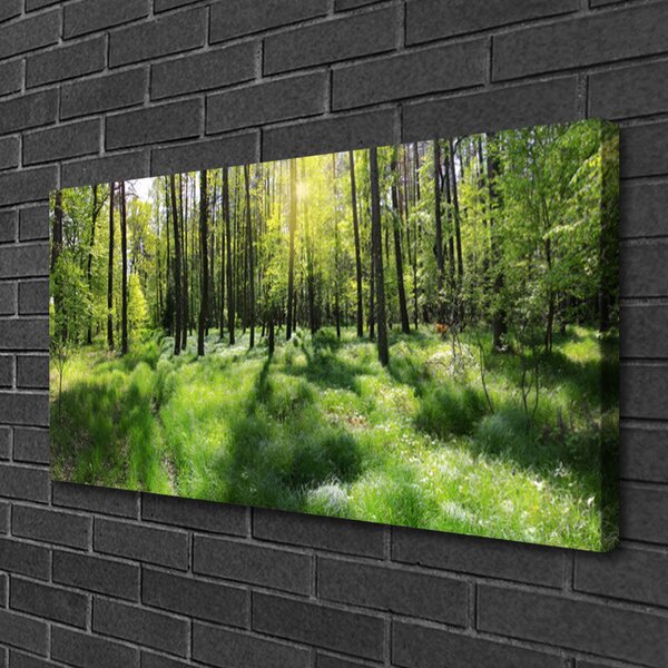 Obraz Canvas Les tráva rastlina príroda 100x50 cm