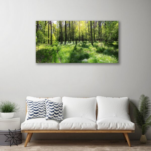 Obraz Canvas Les tráva rastlina príroda 100x50 cm
