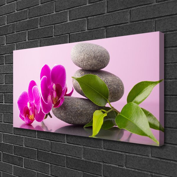 Obraz Canvas Kvet kamene zen rastlina 100x50 cm