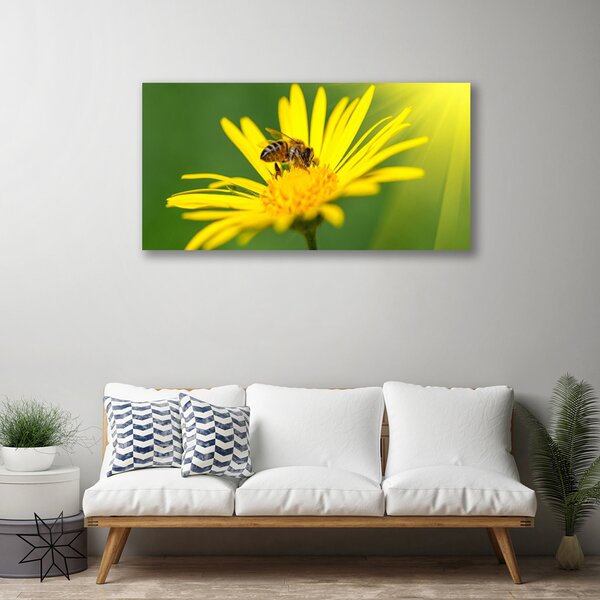 Obraz Canvas Osa kvet rastlina príroda 100x50 cm