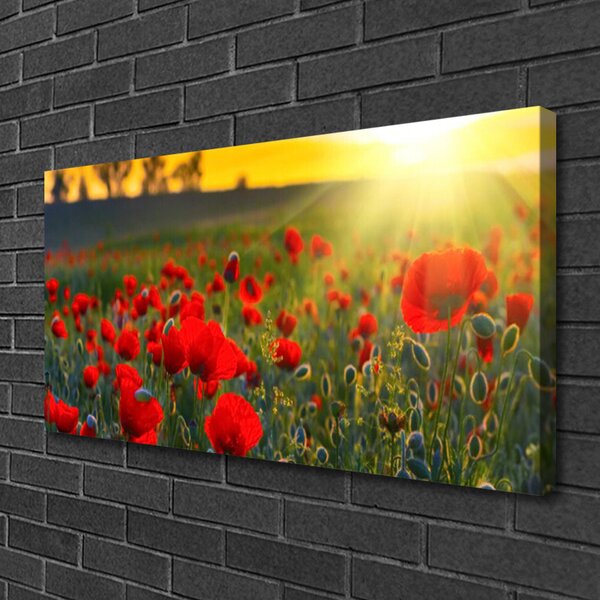 Obraz Canvas Lúka maky rastlina príroda 100x50 cm