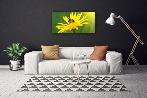 Obraz Canvas Osa kvet rastlina príroda 100x50 cm