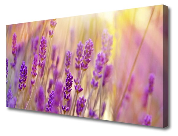 Obraz Canvas Kvety rastlina príroda 100x50 cm