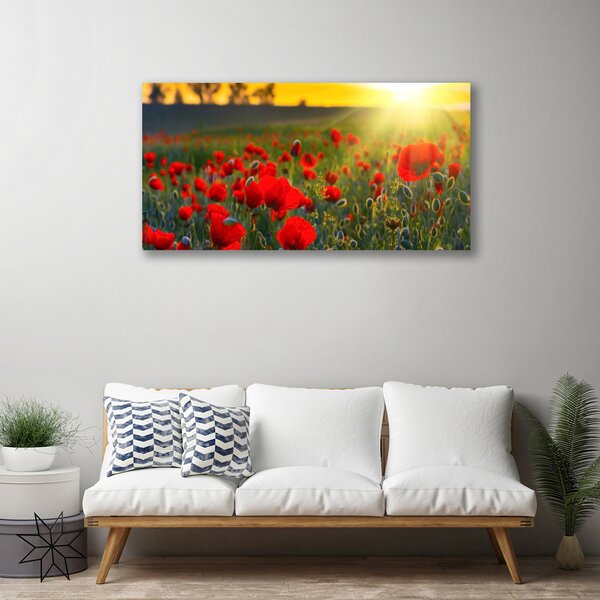 Obraz Canvas Lúka maky rastlina príroda 100x50 cm