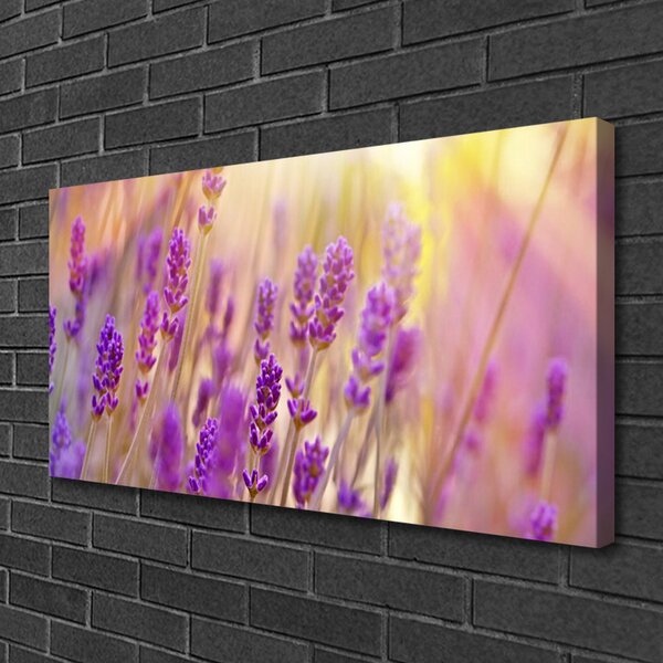 Obraz Canvas Kvety rastlina príroda 100x50 cm