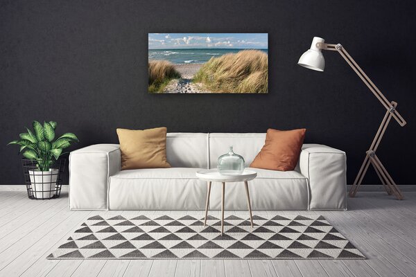 Obraz Canvas Pláž more tráva krajina 100x50 cm