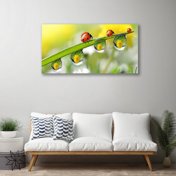 Obraz Canvas List lienky príroda 100x50 cm