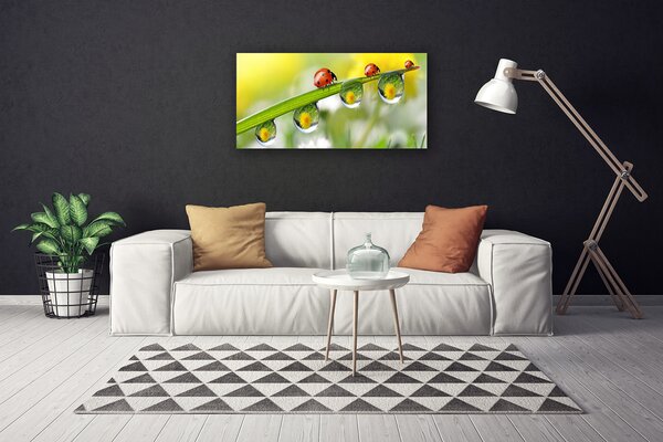 Obraz Canvas List lienky príroda 100x50 cm