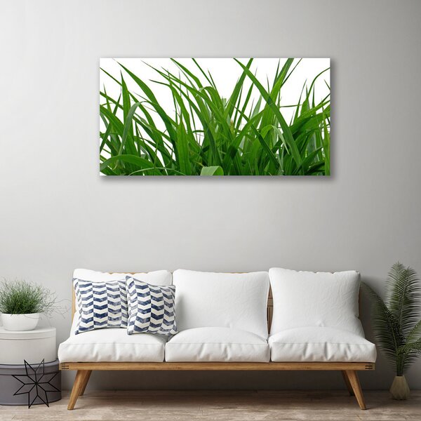 Obraz Canvas Tráva rastlina príroda 100x50 cm