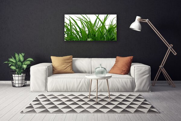 Obraz Canvas Tráva rastlina príroda 100x50 cm