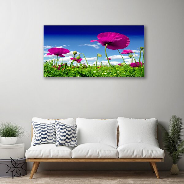 Obraz Canvas Lúka kvety nebo príroda 100x50 cm