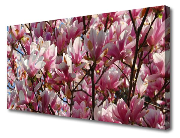 Obraz Canvas Vetvy kvety rastlina 100x50 cm