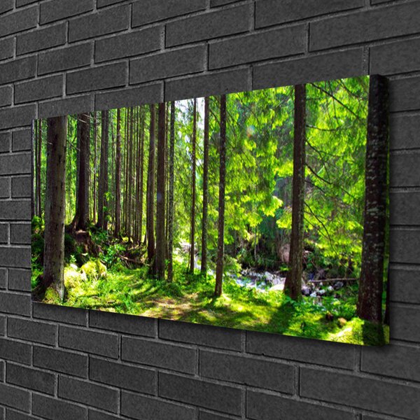 Obraz Canvas Les stromy rastlina príroda 100x50 cm