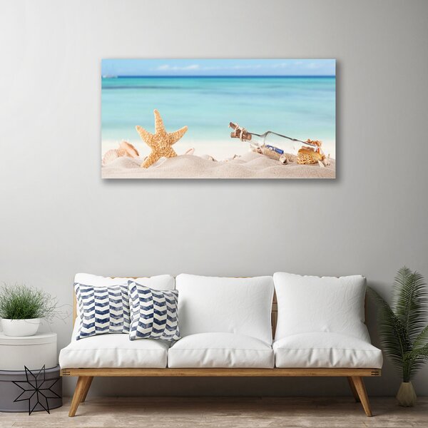 Obraz Canvas Hviezdice mušle pláž 100x50 cm
