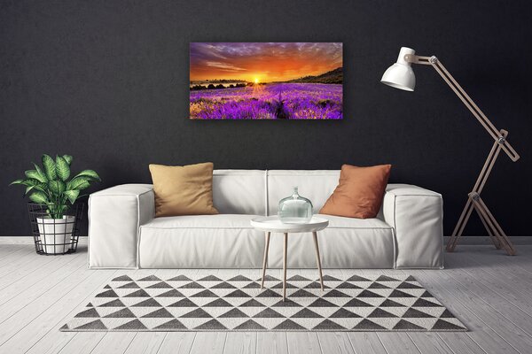 Obraz Canvas Západ slnka pole levanduľa 100x50 cm