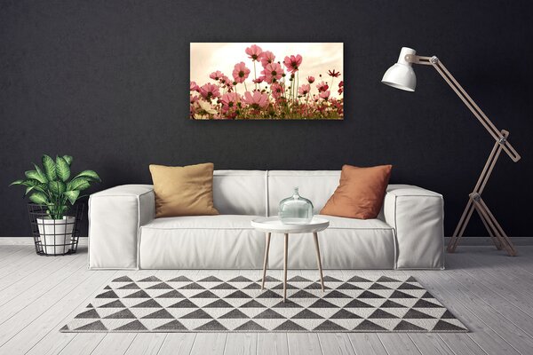 Obraz Canvas Poľné kvety lúka príroda 100x50 cm