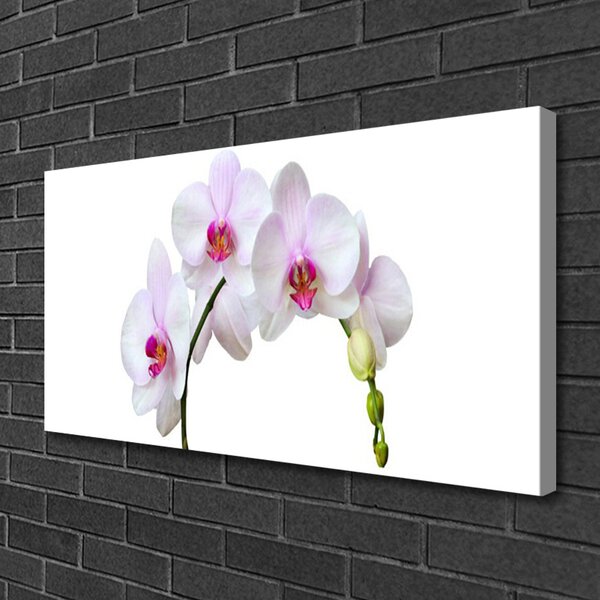 Obraz Canvas Vstavač orchidea kvety 100x50 cm
