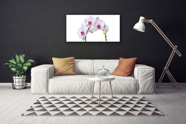 Obraz Canvas Vstavač orchidea kvety 100x50 cm