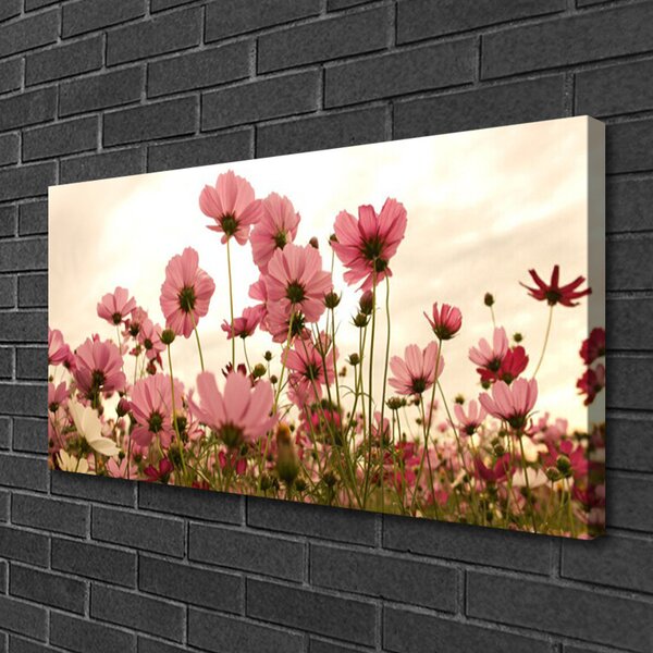 Obraz Canvas Poľné kvety lúka príroda 100x50 cm