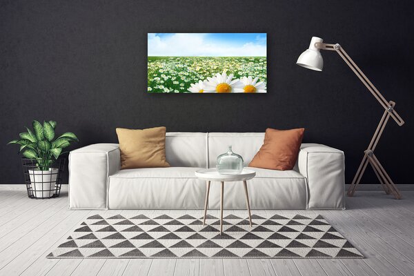Obraz Canvas Sedmokrásky kvety lúka pole 100x50 cm